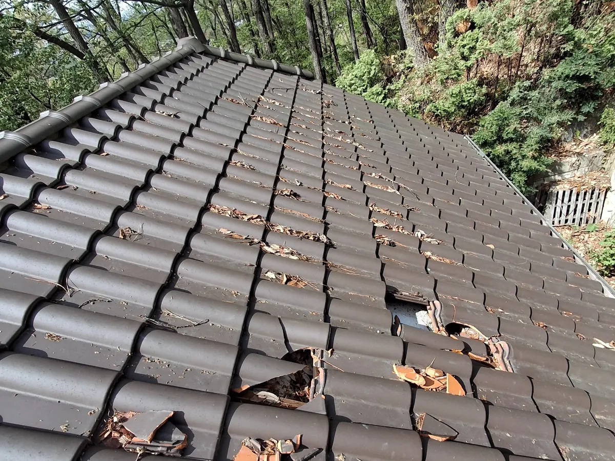 지붕면 여러 곳에서 기와가 깨져 조각이 빠지고 하부가 드러난 상태
