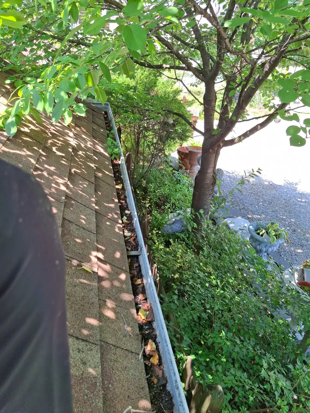 아스팔트슁글 지붕 빗물받이에 낙엽과 토사가 쌓인 상태